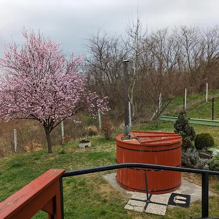 別荘 Marvel-nyaralo *